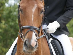 179186_10150929547303585_857982817_n_web